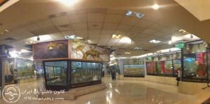 ادامه مطلب: اردوی موزه تنوع زیستی پردیسان  توسط کانون ناشنوایان ایران